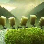 Minuscule - La valle delle formiche perdute