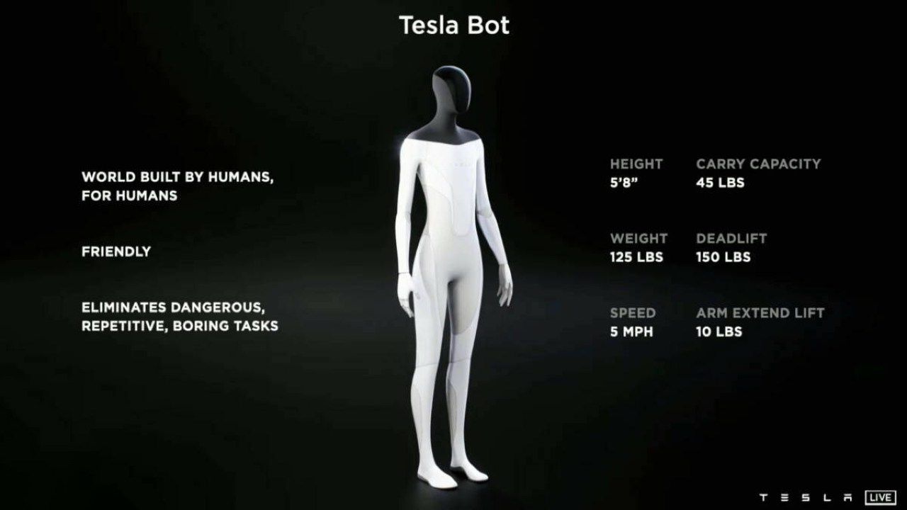 Tesla bot