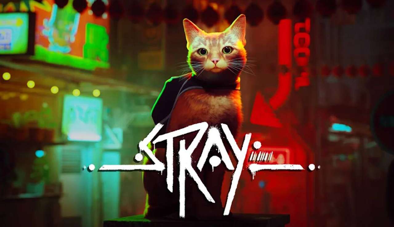 Stray