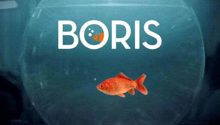 Disney+: Boris 4